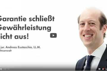 Wirtschaftsrecht I: Die Garantie
